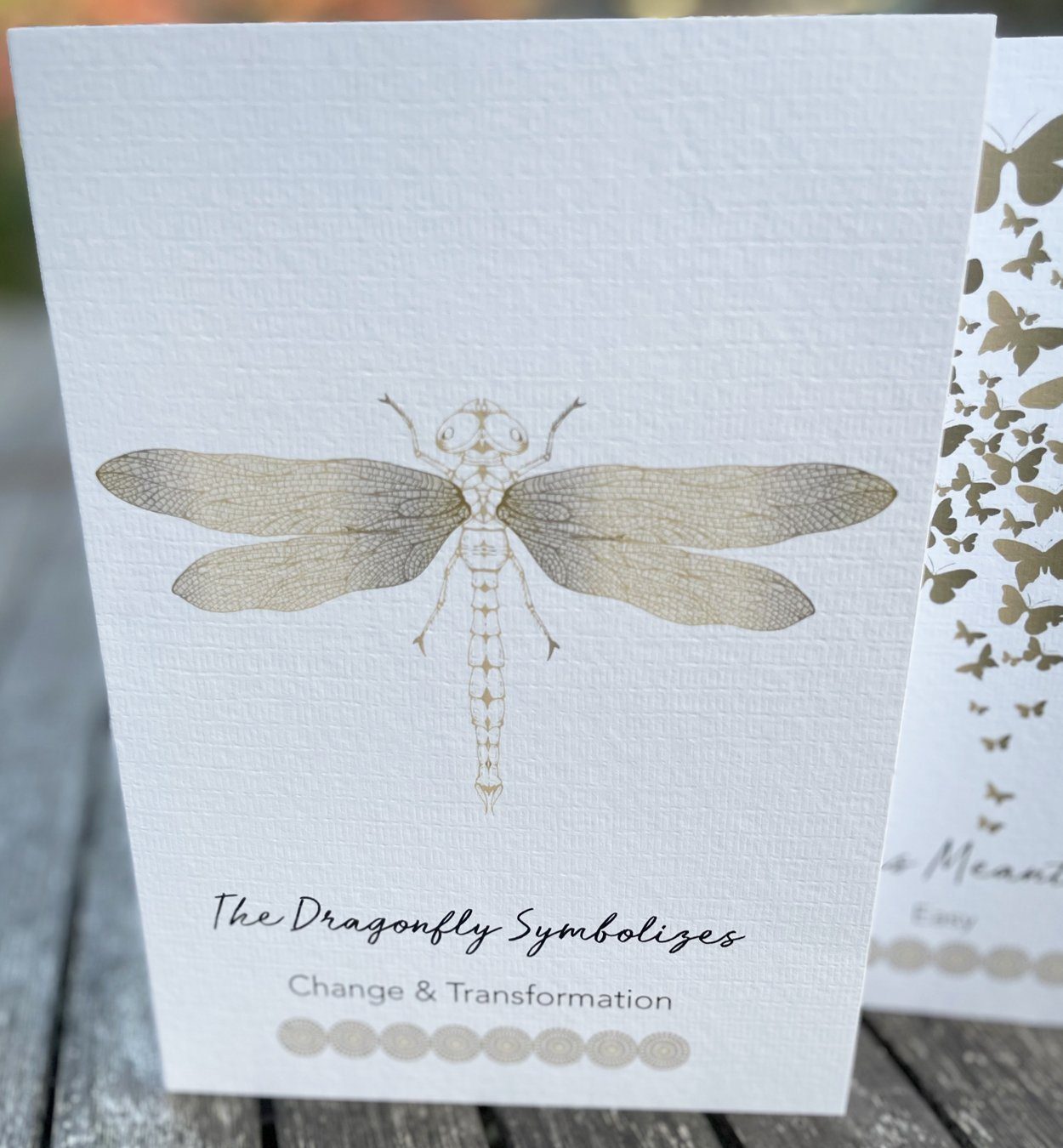The Dragonfly ~ Greeting Card {Free Shipping} AWAKEN RANGE Red Tent Tribe 